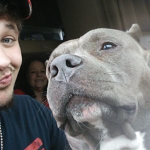 Meet your Posher, Kevin